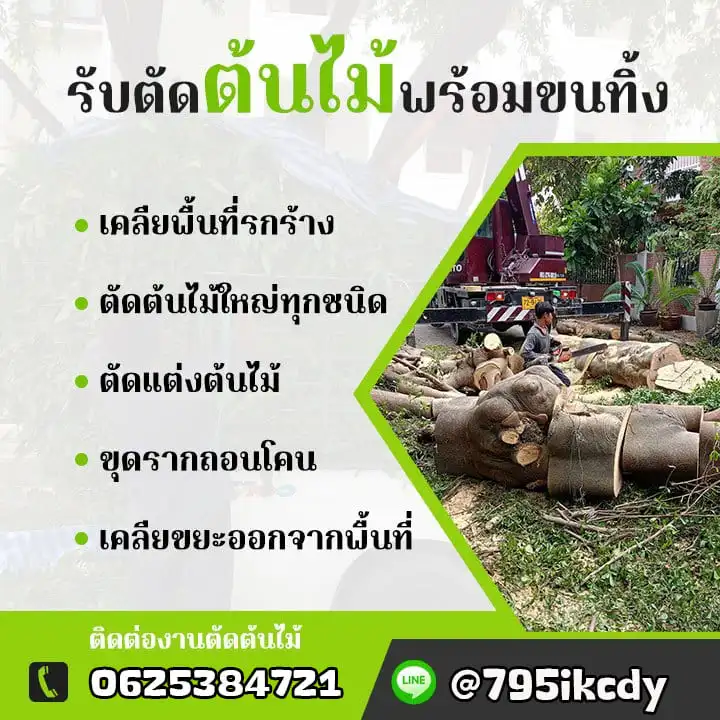 รับจ้างตัดต้นไม้