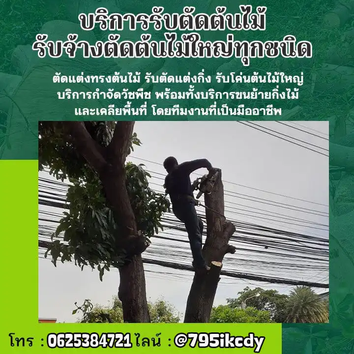 รับจ้างตัดต้นไม้ใกล้ฉัน